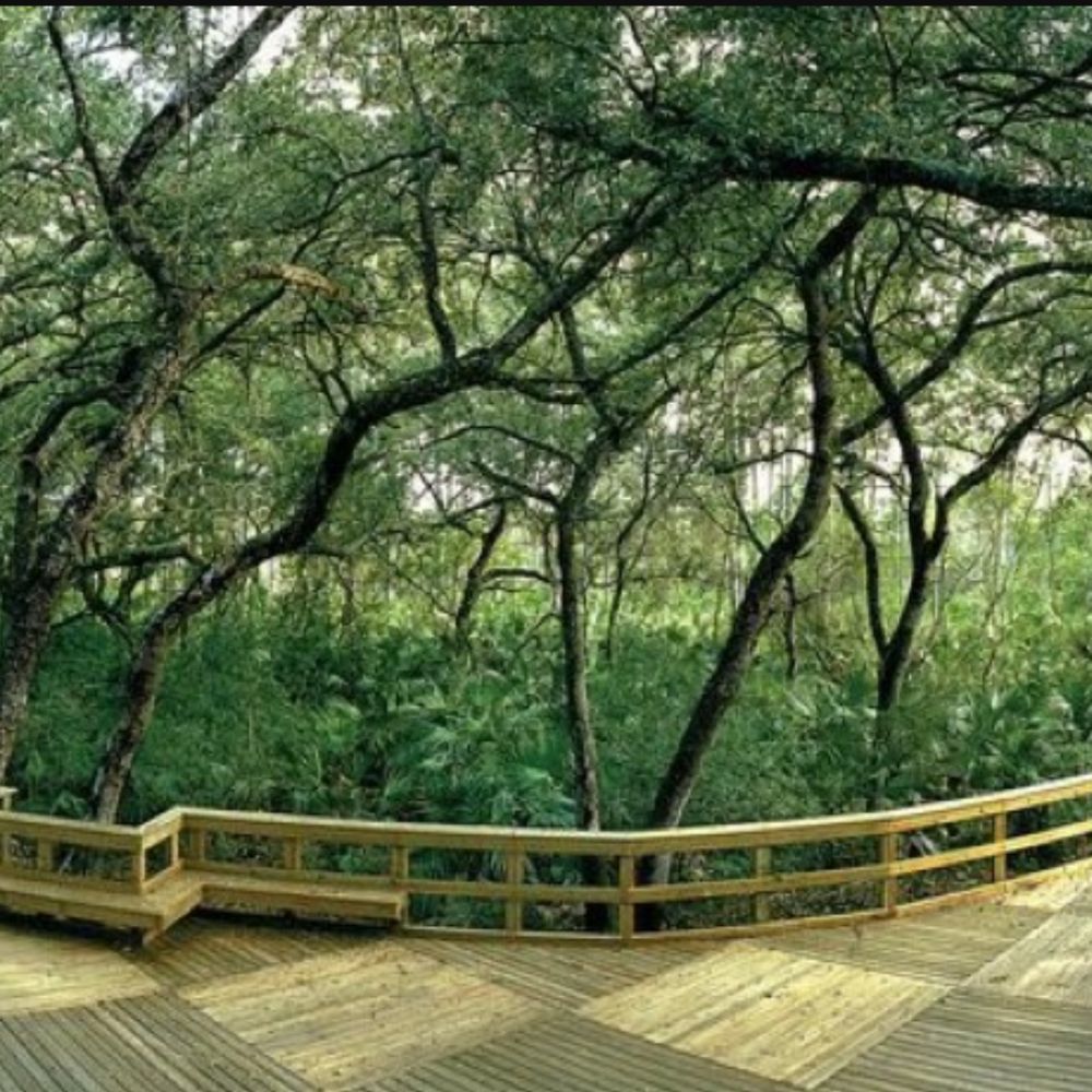 Meet your Posher, Loretta